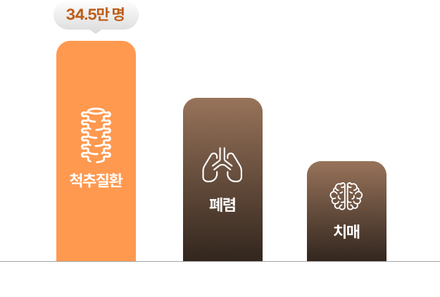 질환 별 입원 환자수 척추질환 34.5만 명/폐렴 25.2만 명/치매 12.8만 명
