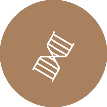 DNA